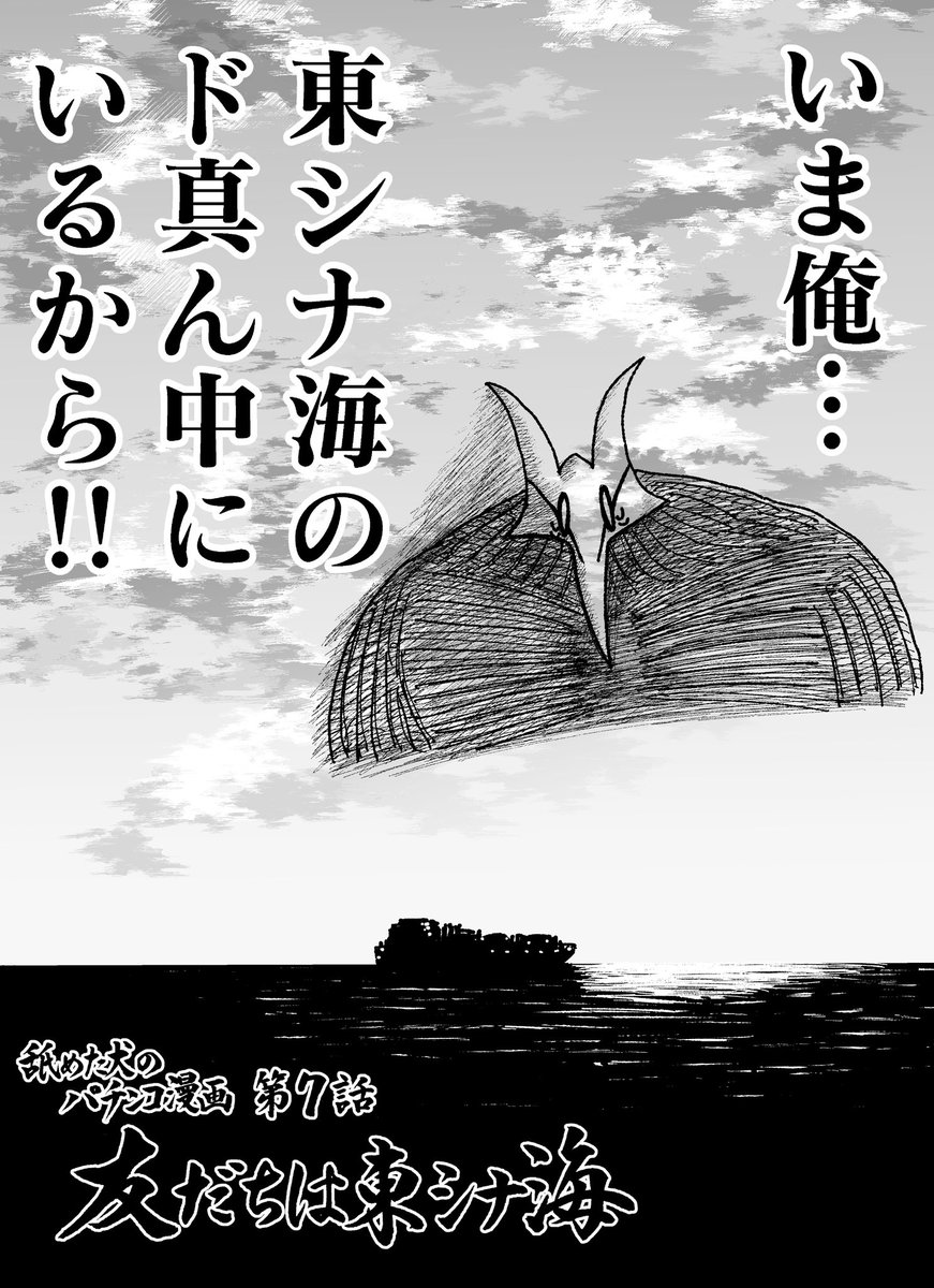 舐めた犬 tweet media