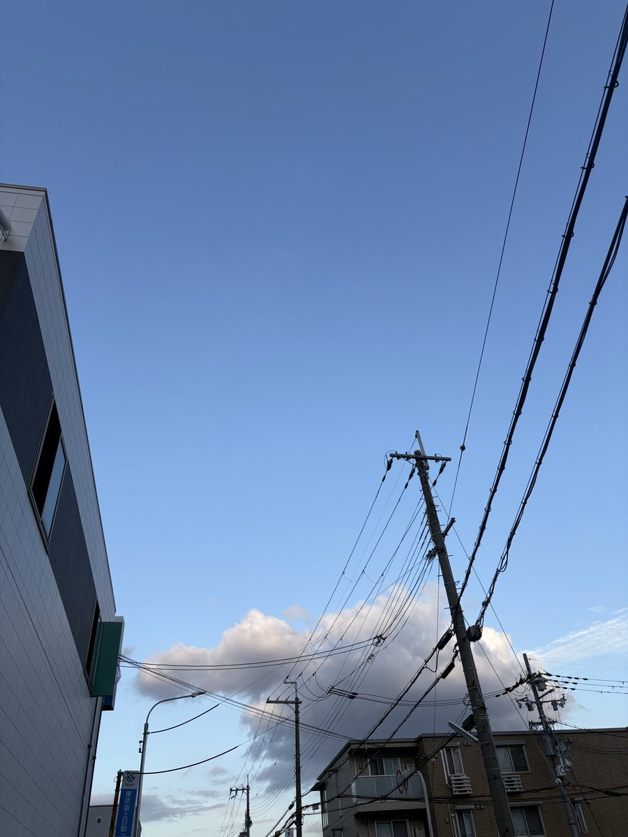 xʚ琥珀ɞx tweet media