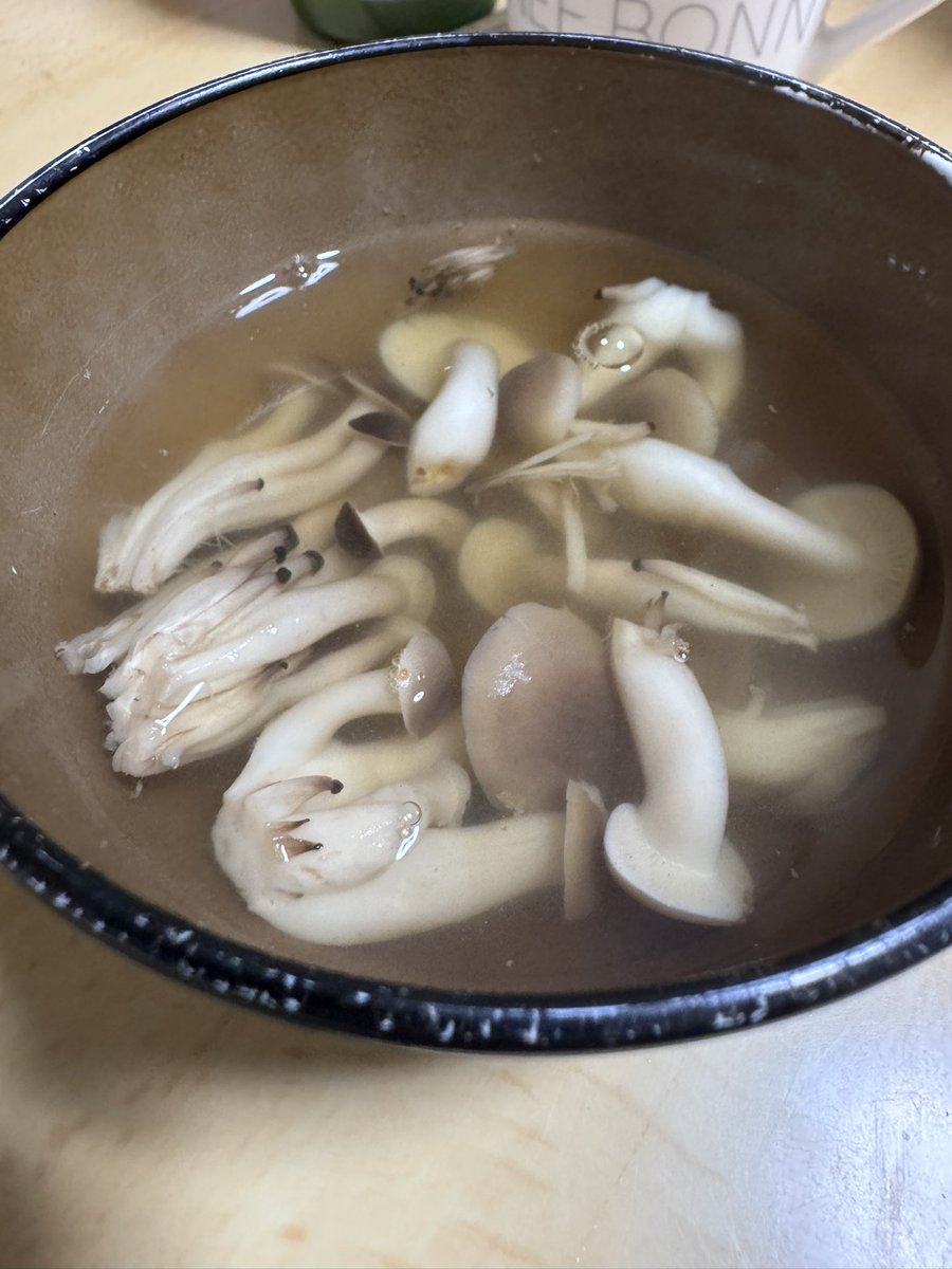 黄田衣蓮(きだ　えれん)@クトゥルフ神話系Vtuber tweet media