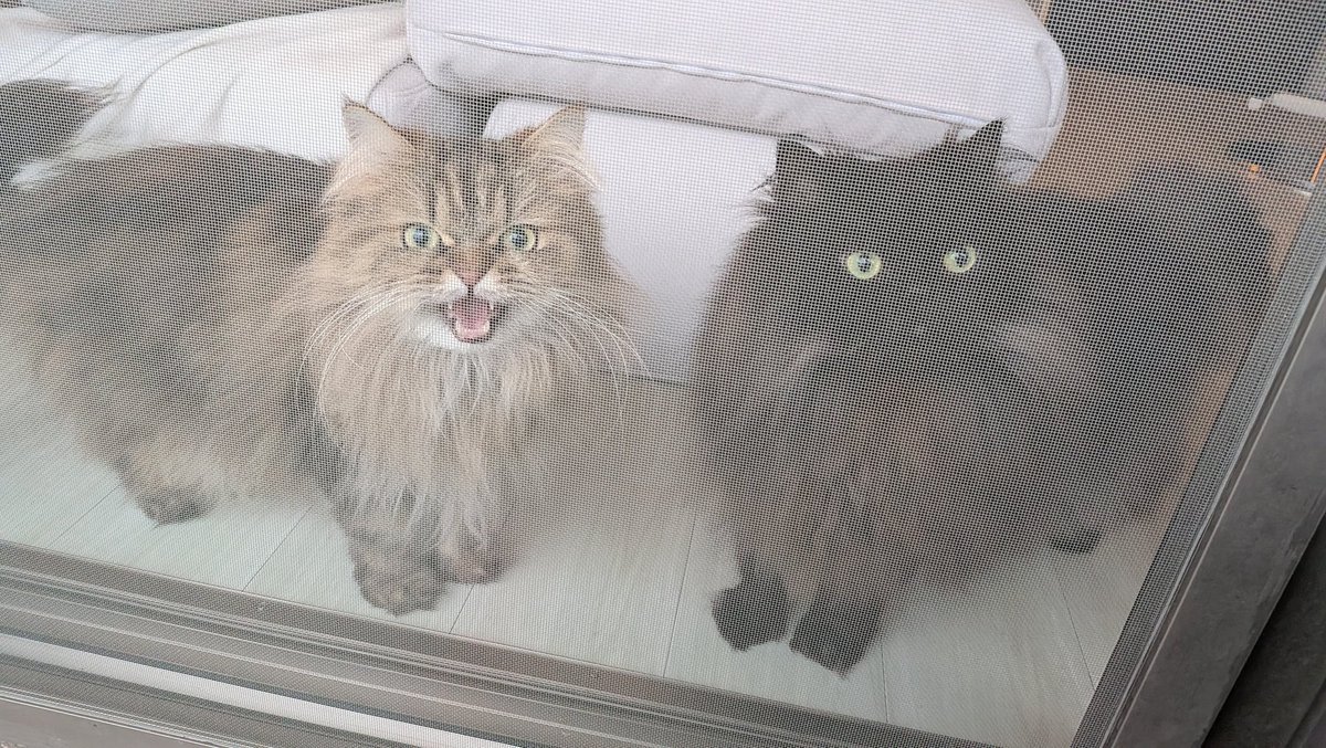 ジェフリーマンソン tweet media