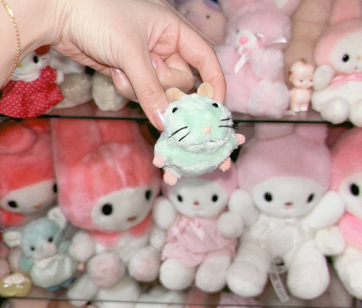 ネズミだ￼￼￼￼〰️