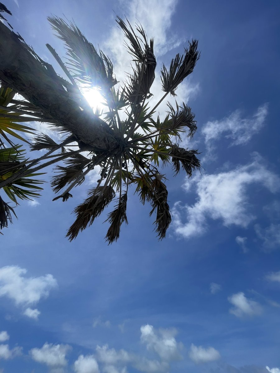 Sherie Margaret Ngigi tweet media