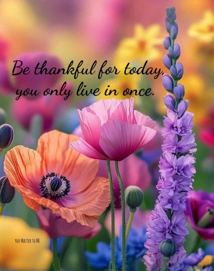 Inspiration & More tweet media