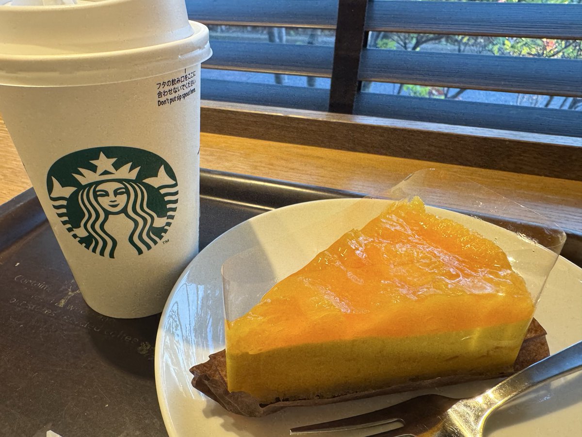 mayumi 🎀 tweet media