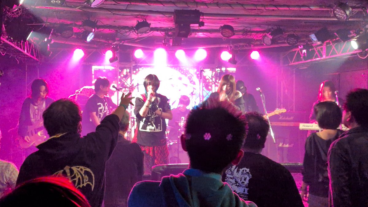てるな🐻 tweet media