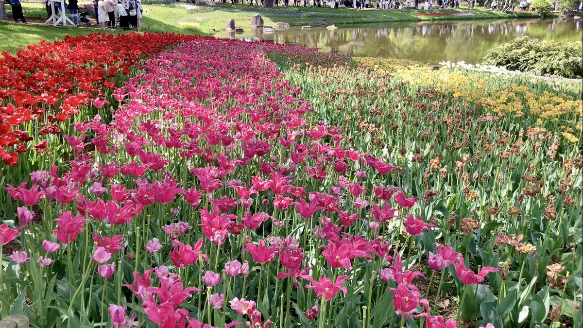 ᵐᵃʸᵒⁿᵃᵏᵃⁿᵒᵃᵒ tweet media