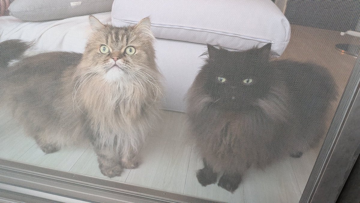 ジェフリーマンソン tweet media