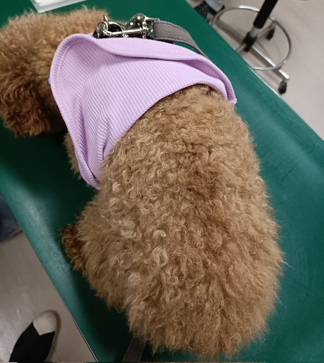 こて_cluster tweet media