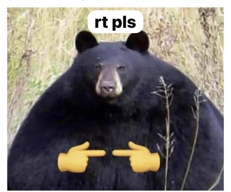 danimim.eth tweet media