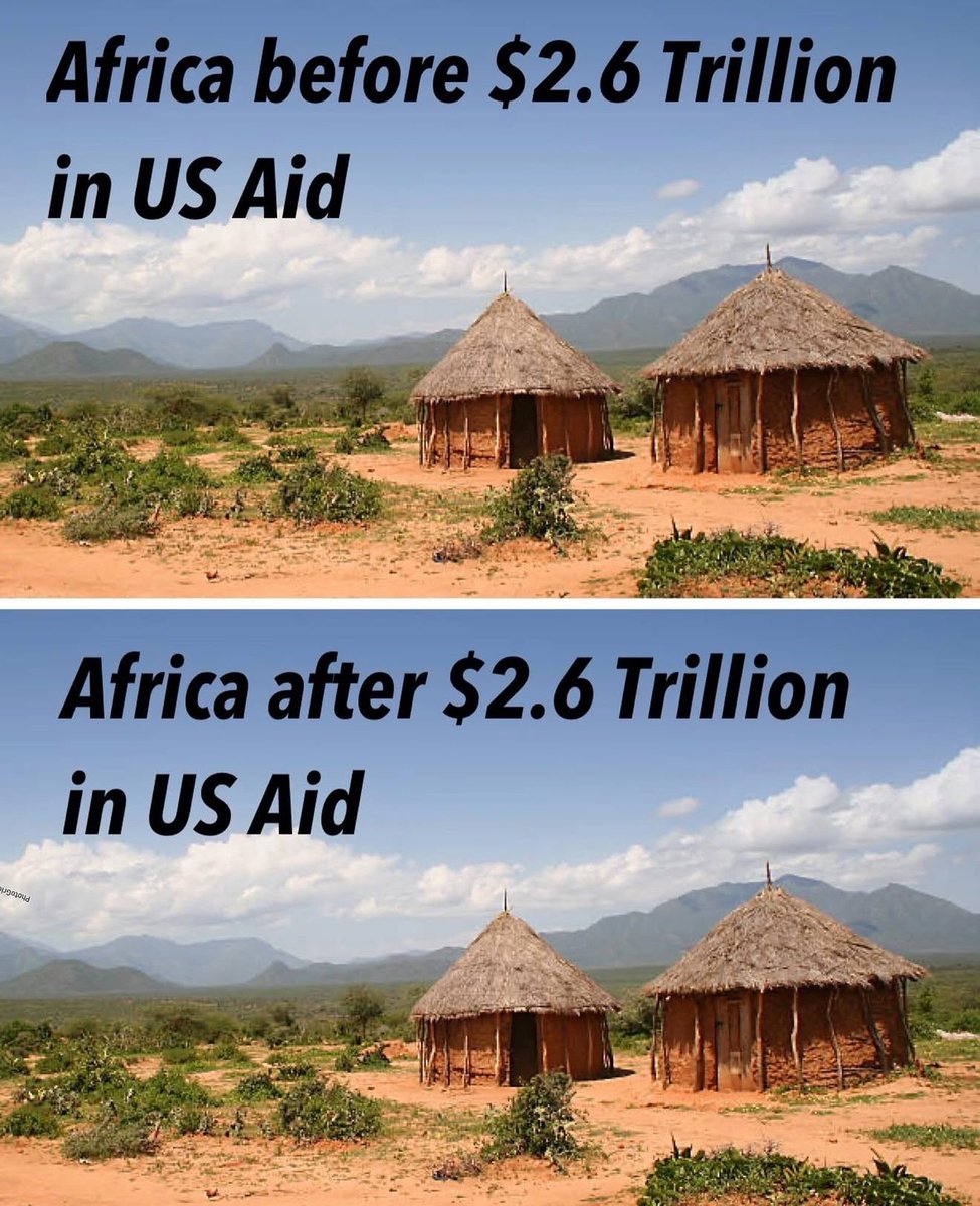 Out of Context Human Race tweet media