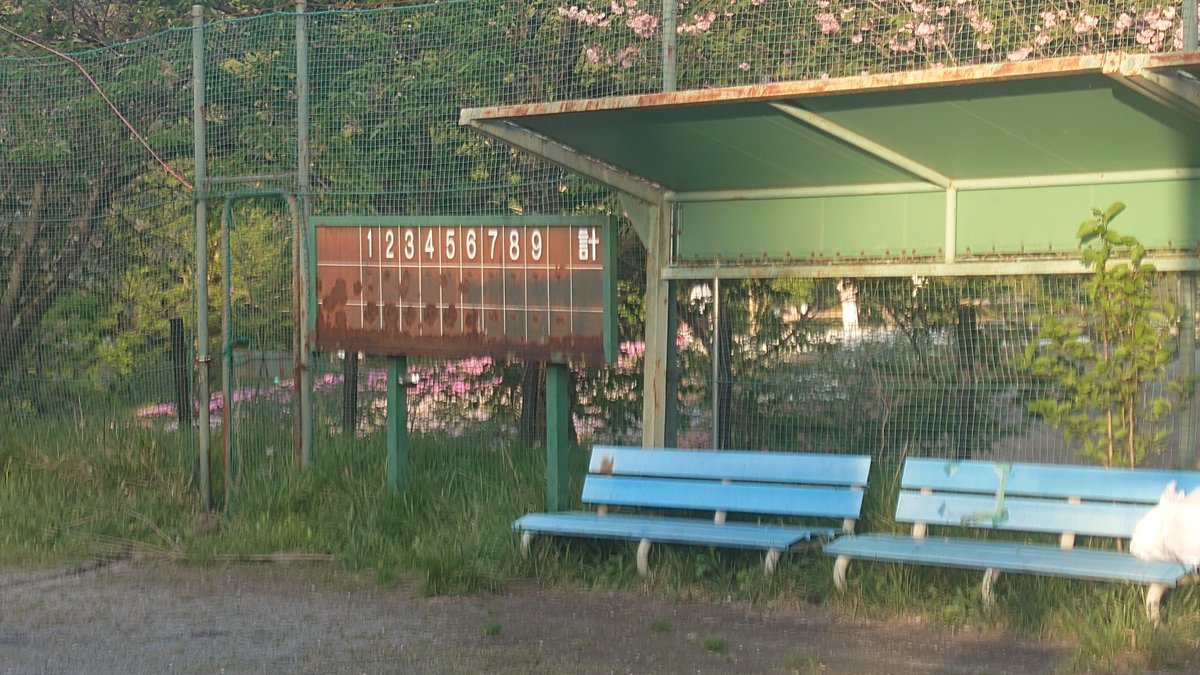 しょこら（schokola38） tweet media