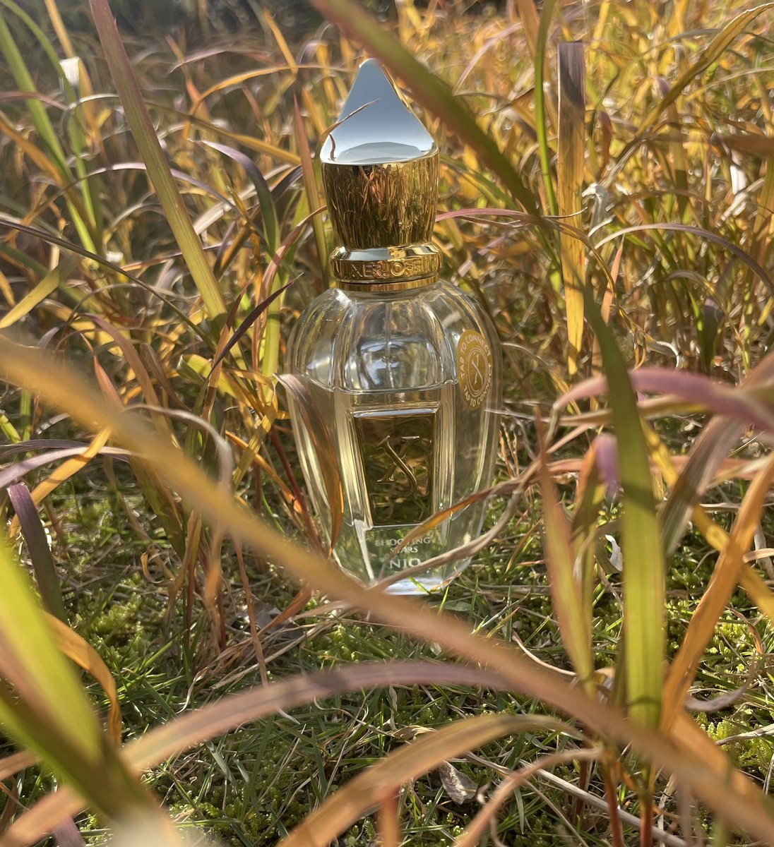 ODK Parfums tweet media