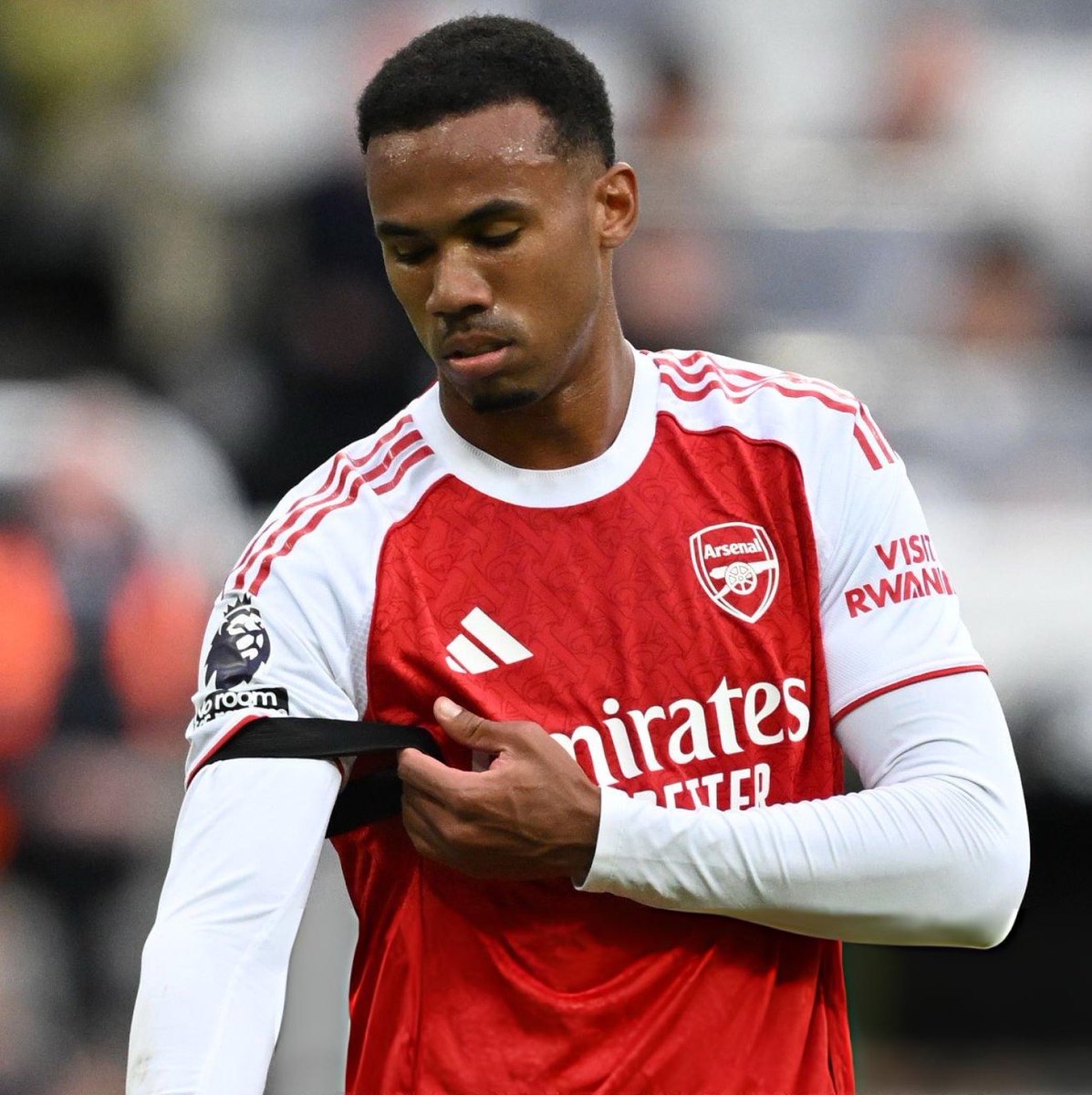 DailyAFC tweet media