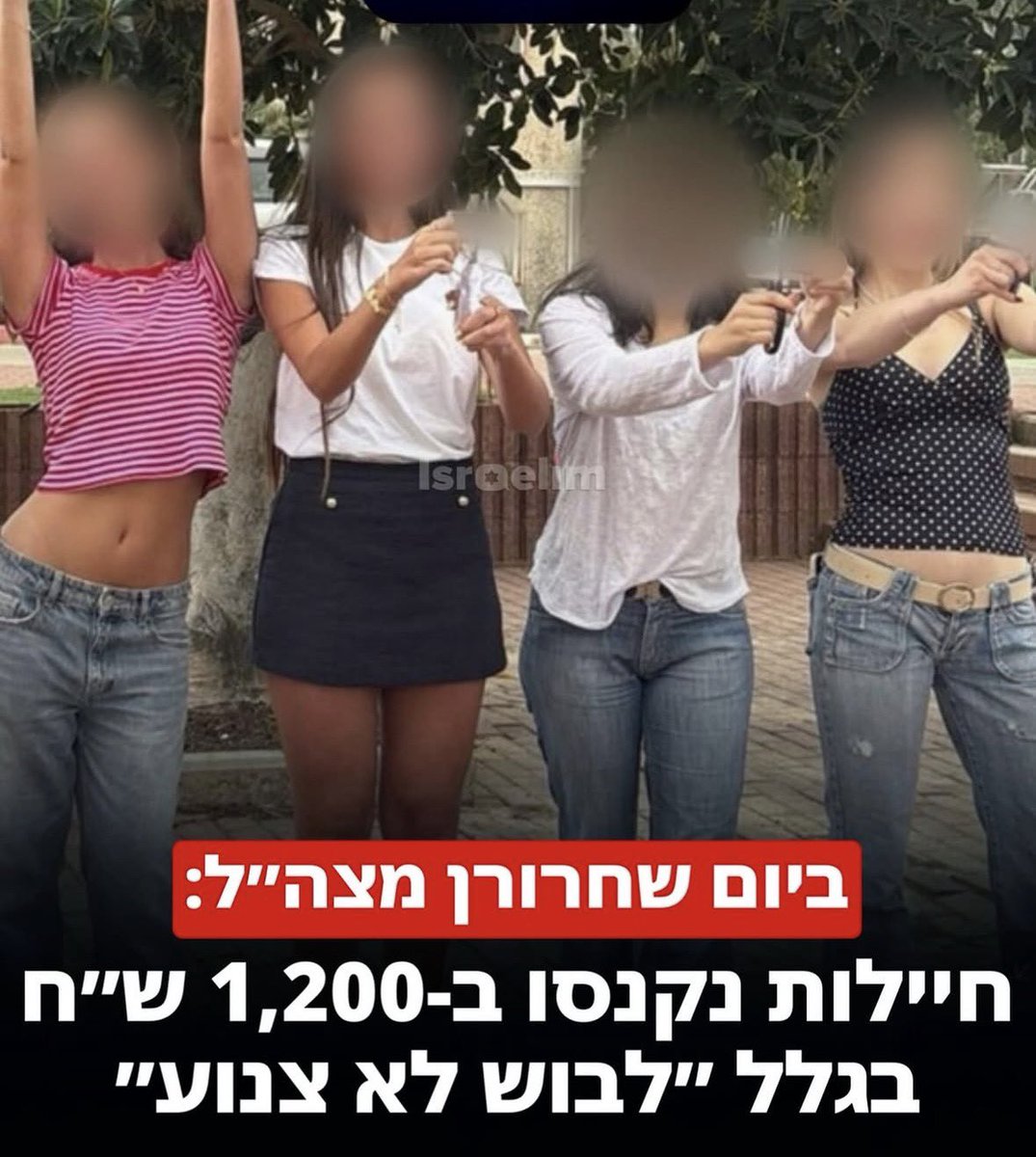 Tom Alroy • תום אלרואי tweet media