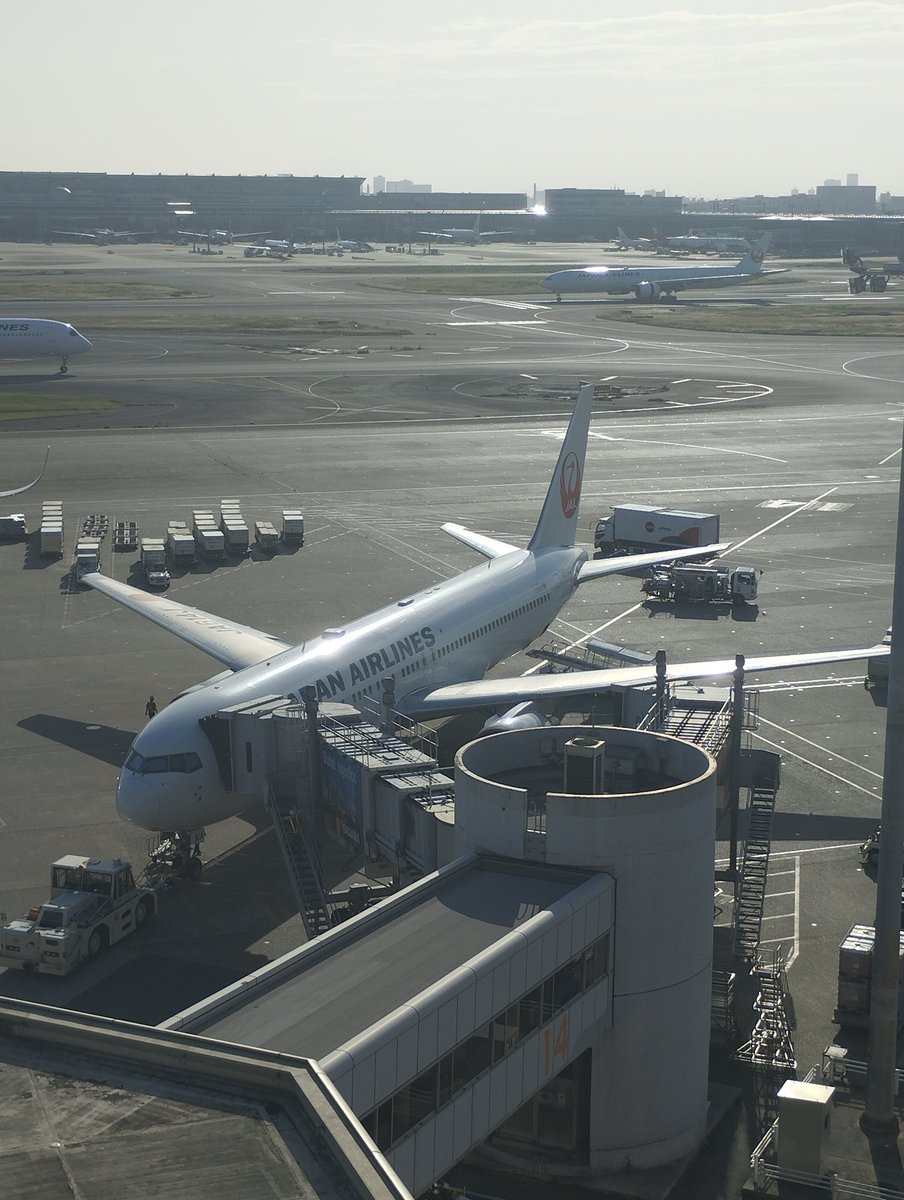 0zackey3's tweet photo. また羽田空港に行って飛行機眺めて、横浜迷宮で迷いに迷って、横浜ポルタ店に行ってきた。これで通算８店舗目、残り３店舗
#京急全線１日フリーパス
#えきめんや https://t.co/svhCBjCKsw