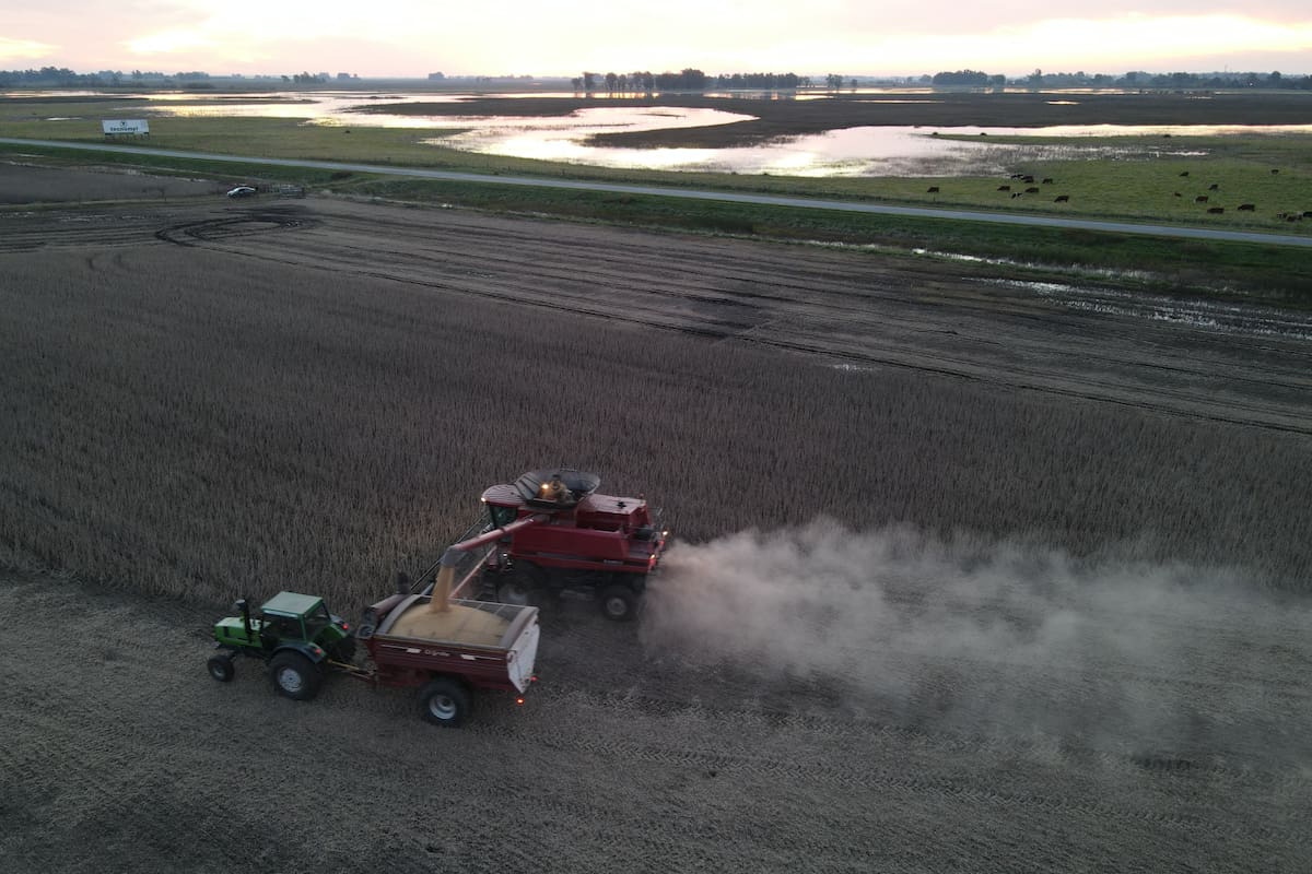 LA NACION Campo tweet media