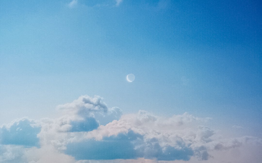 𝓴𝓸𝓰𝓪𝔂𝓪. tweet media