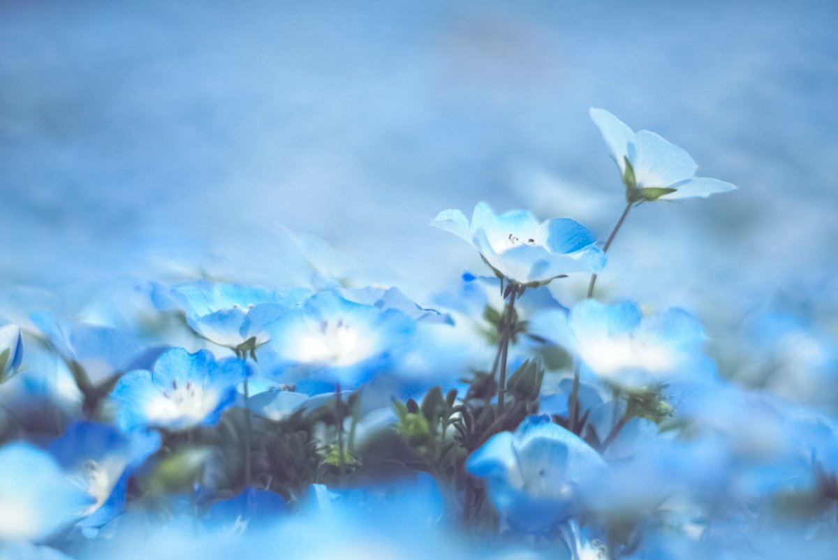 𝓴𝓸𝓰𝓪𝔂𝓪. tweet media