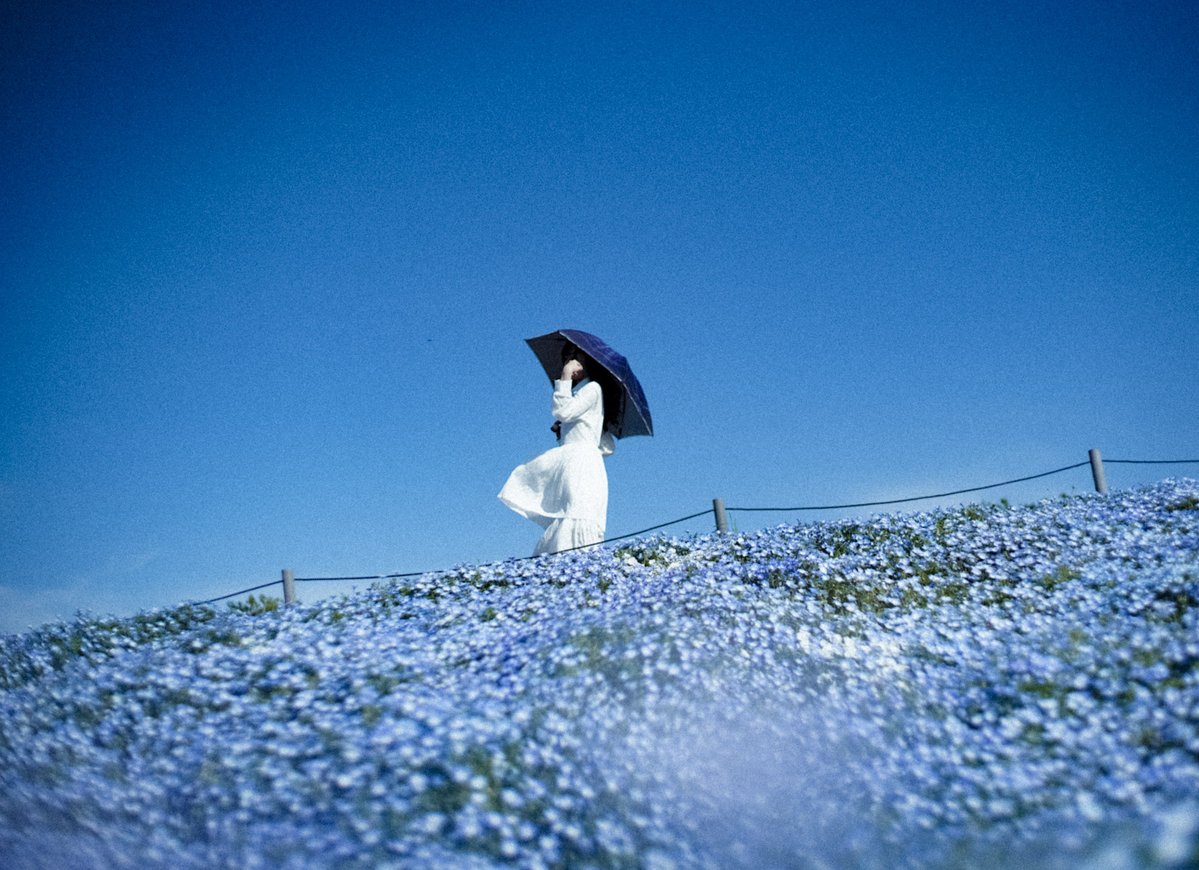 𝓴𝓸𝓰𝓪𝔂𝓪. tweet media