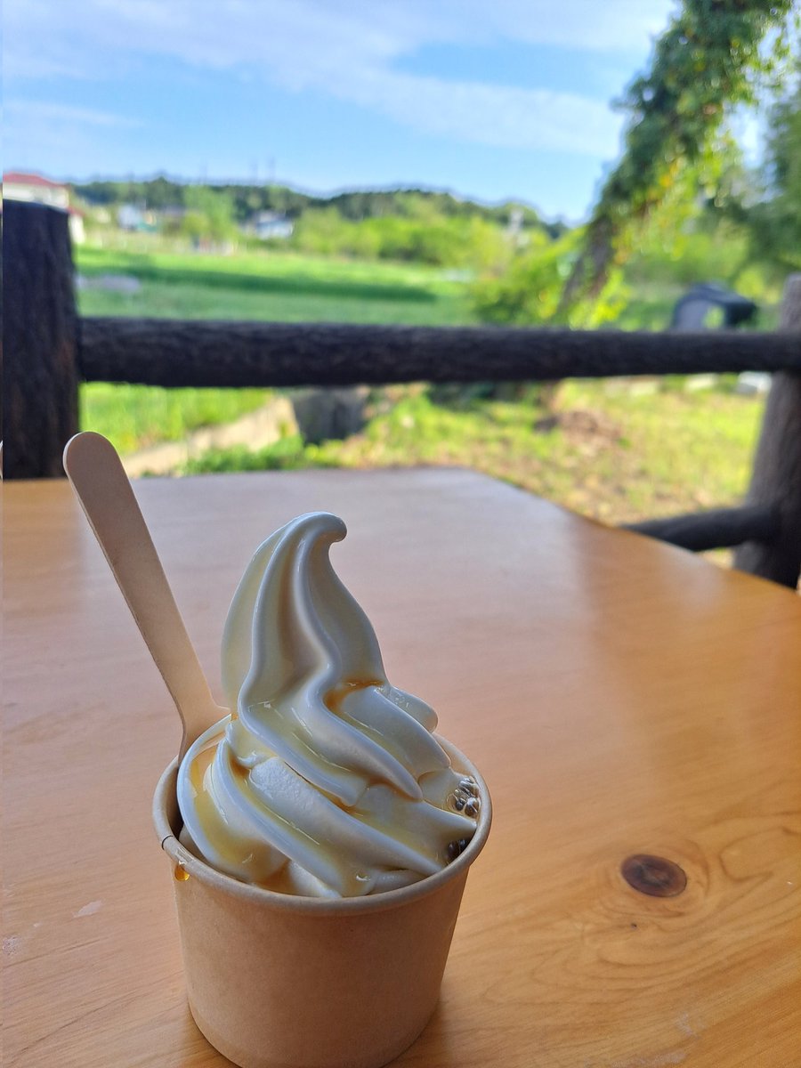 natchdes's tweet photo. 豆腐工房わたなべで豆乳ソフトみたらし味🍦
カップの底にタレがたまってたらしく最後しょっぱくなっちゃったけど、畑の緑を見ながらまたーり🍵
#ときがわ町 #埼玉 https://t.co/xs2cV9ReDu