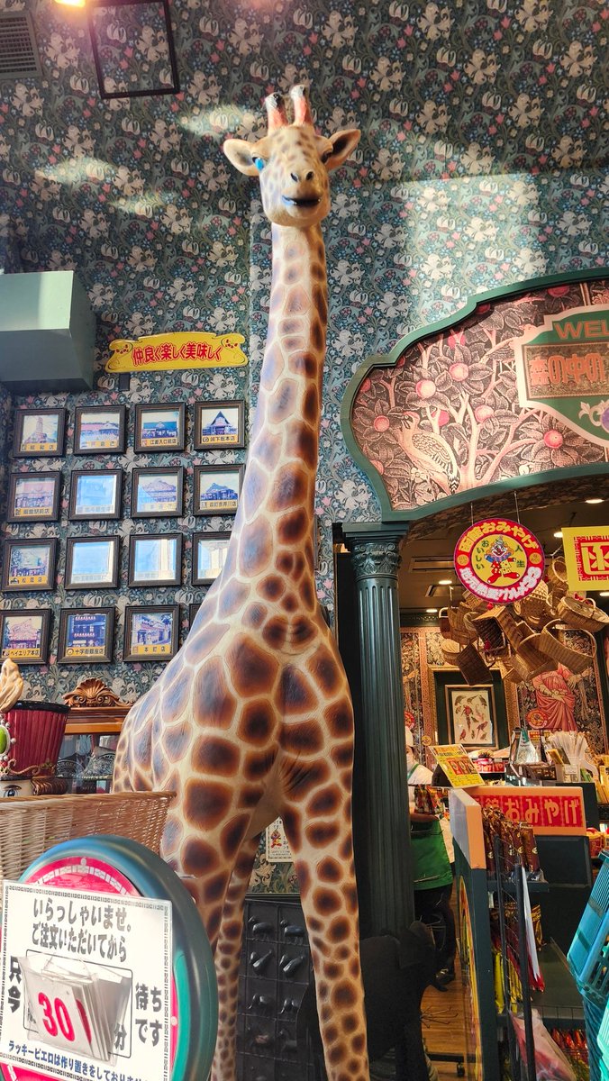 ヴァあにー(旧Show☆) tweet media