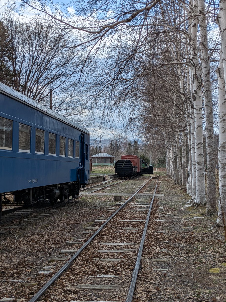 motacilla tweet media