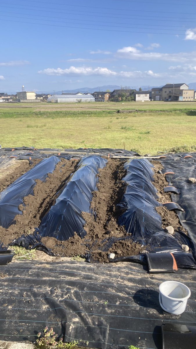 ひろし@中小企業診断士 tweet media