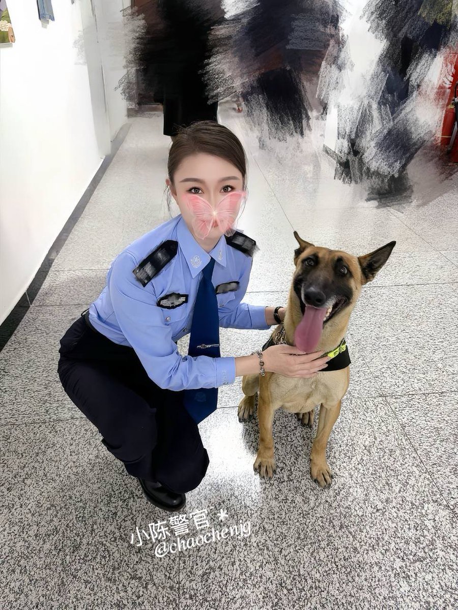 小陈警官~ tweet media