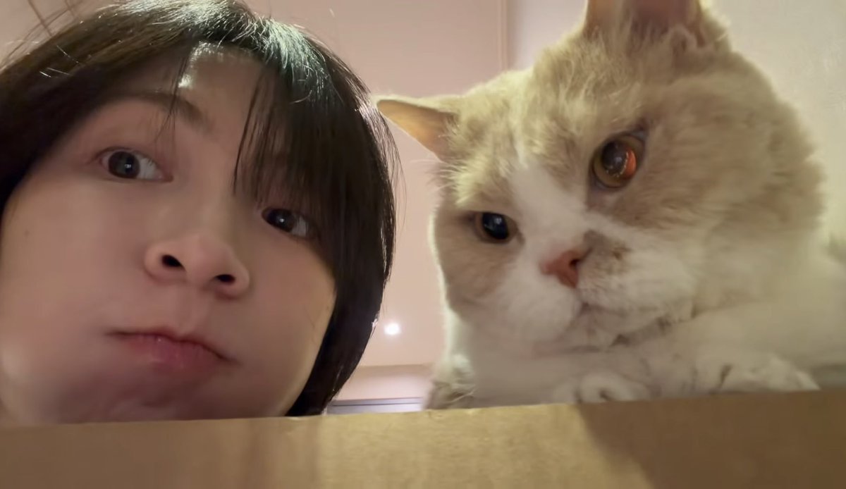 가린이 tweet media