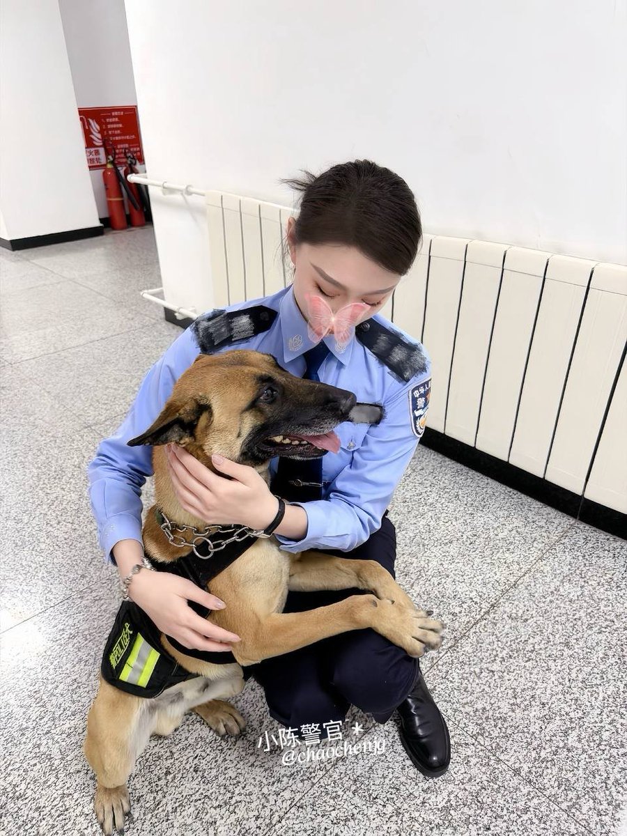 小陈警官~ tweet media