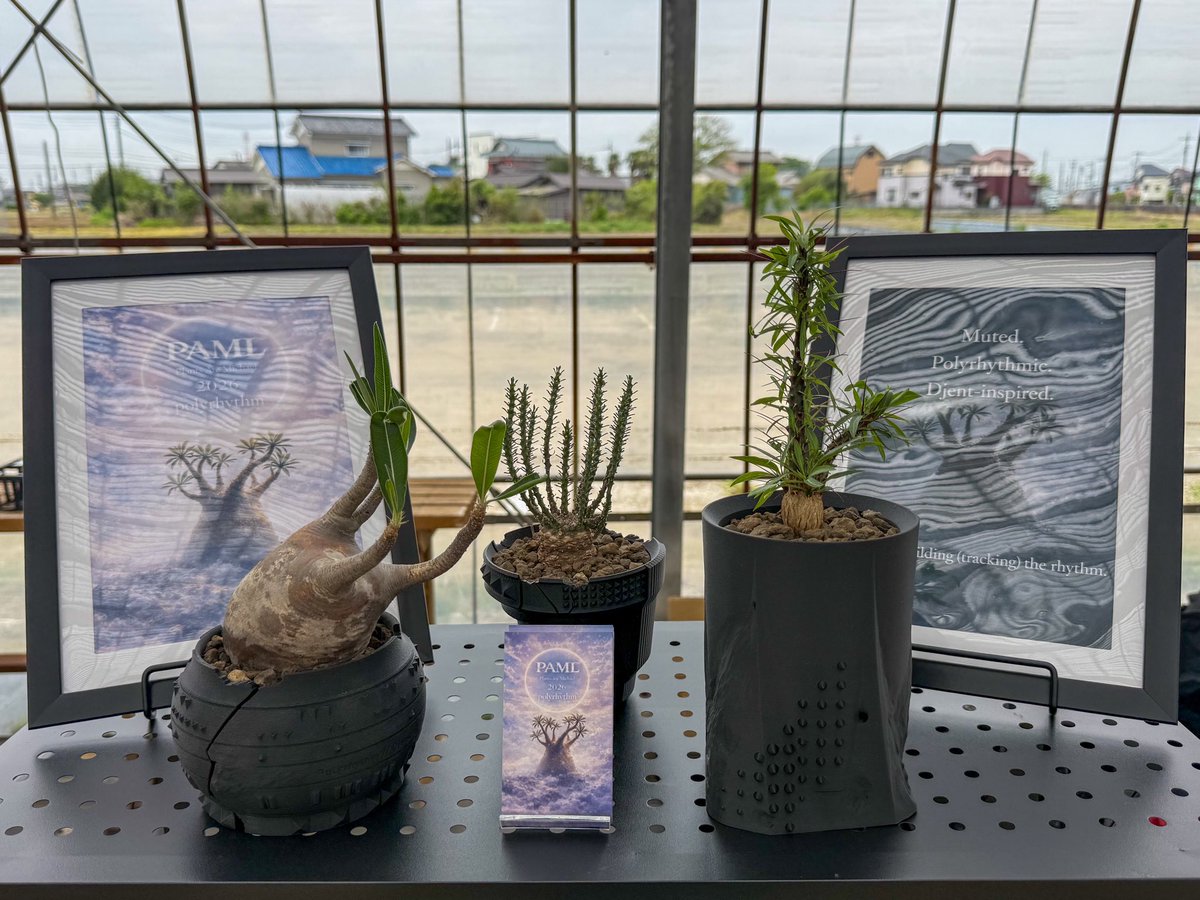 Plants ate Michael@3Dプリンター鉢作家 tweet media