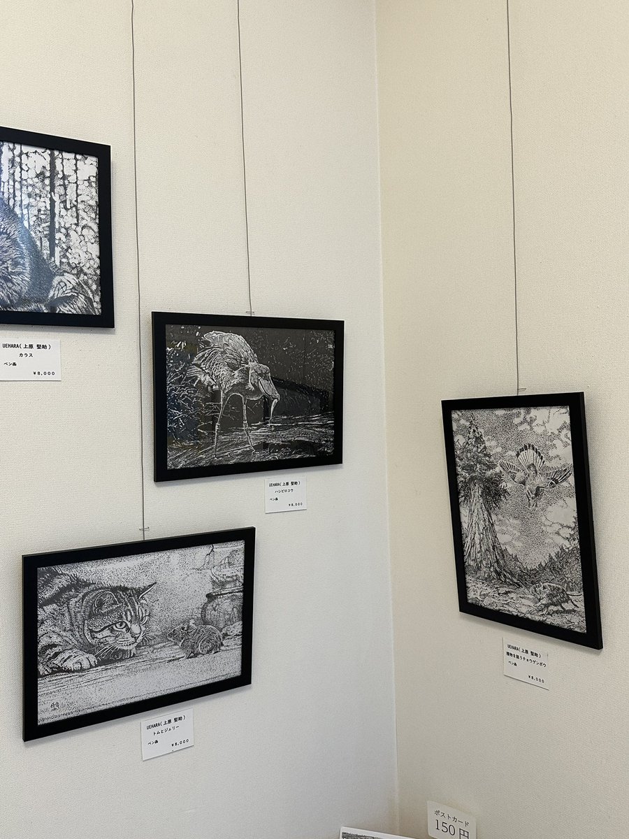 バートックギャラリー展示会情報 tweet media