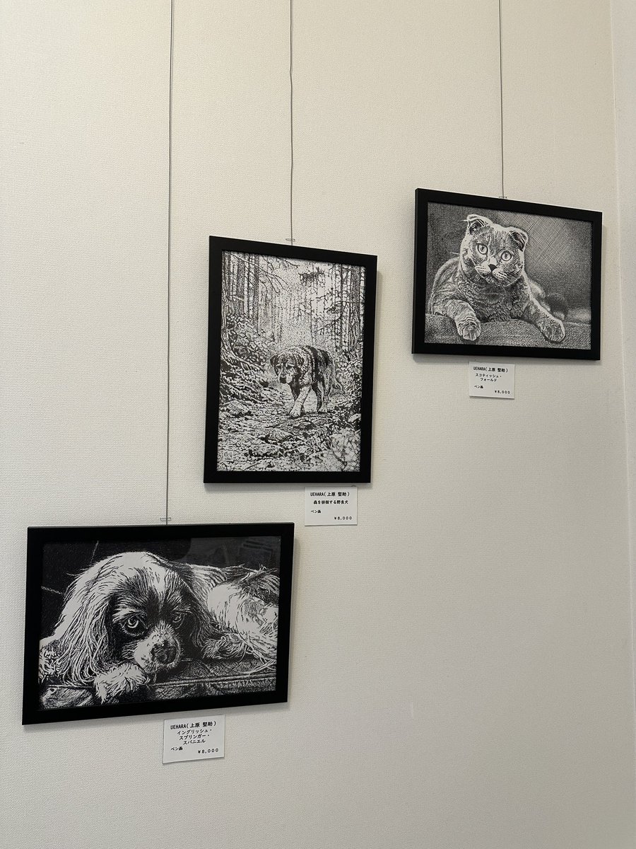 バートックギャラリー展示会情報 tweet media