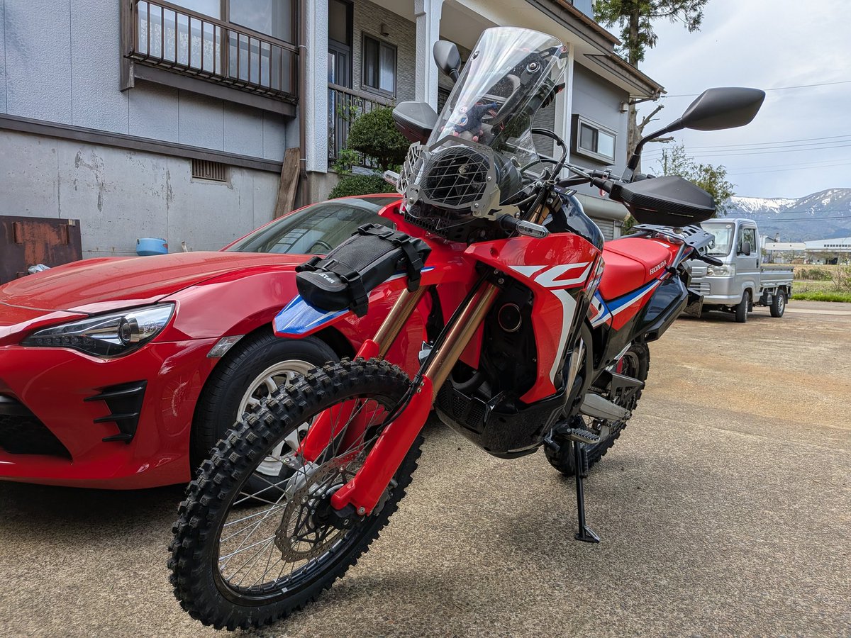 ヂェイソン🦍🌏@ tweet media