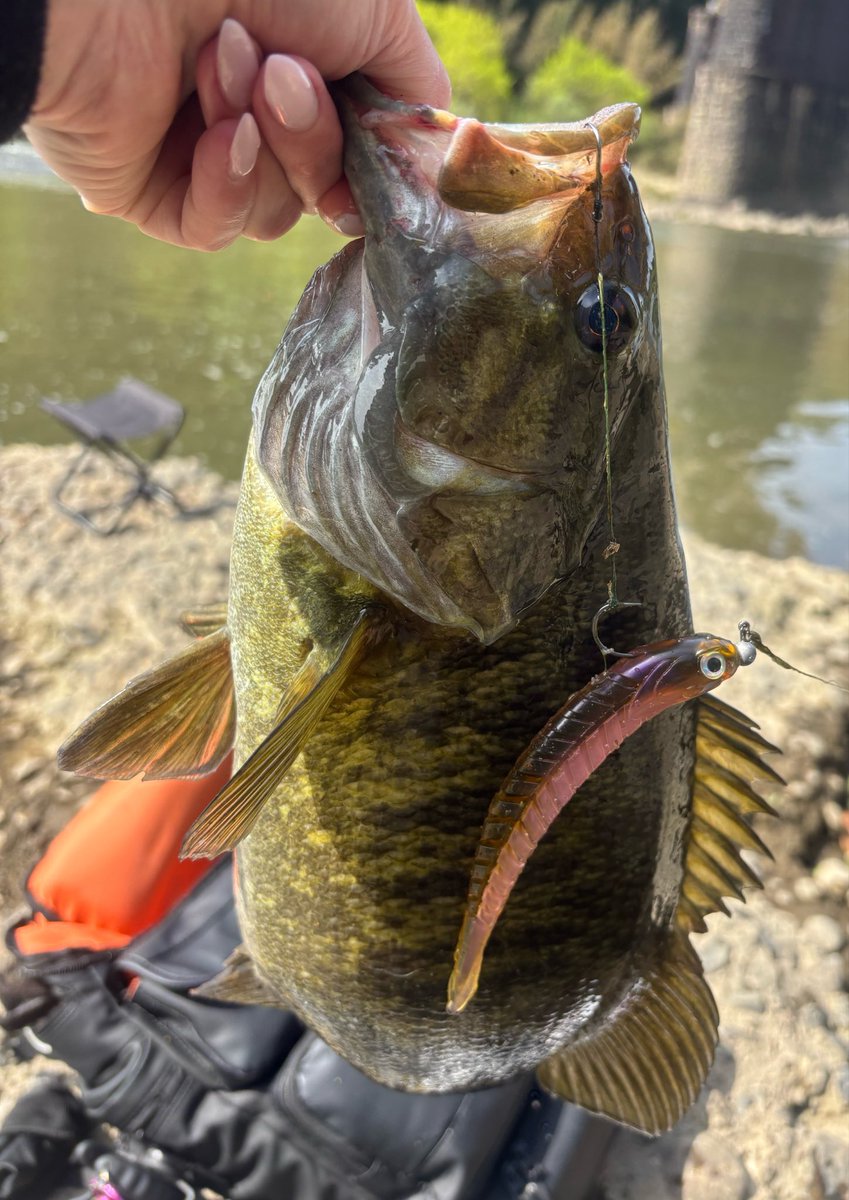 ✰ℛ✰ tweet media