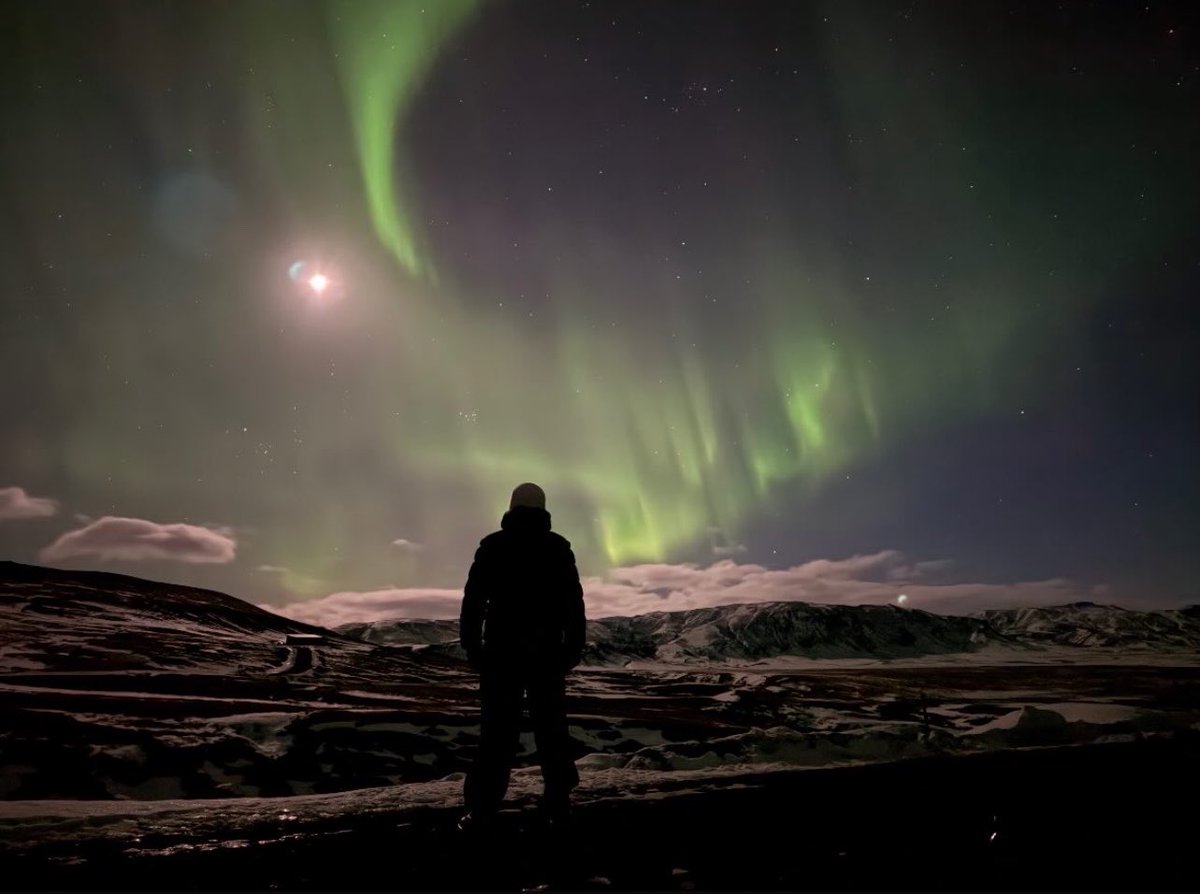 뽀짝만두 tweet media