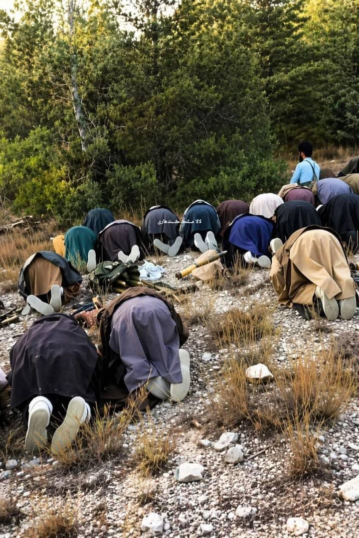 ابوعبیده الافغاني tweet media