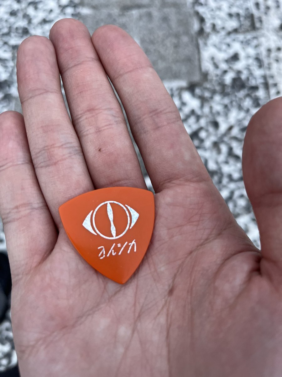 シカメスタ🦌 tweet media