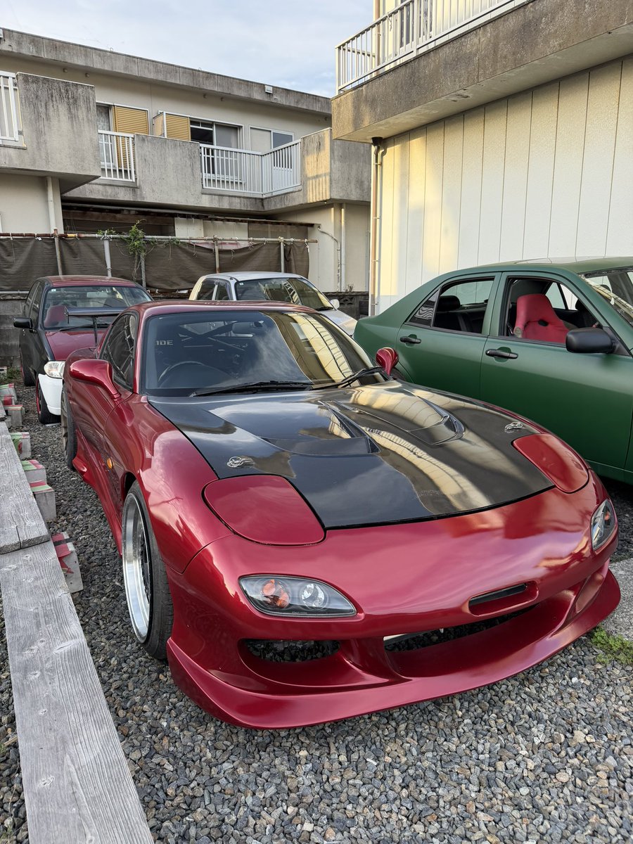 🌻hiro🇮🇹 tweet media