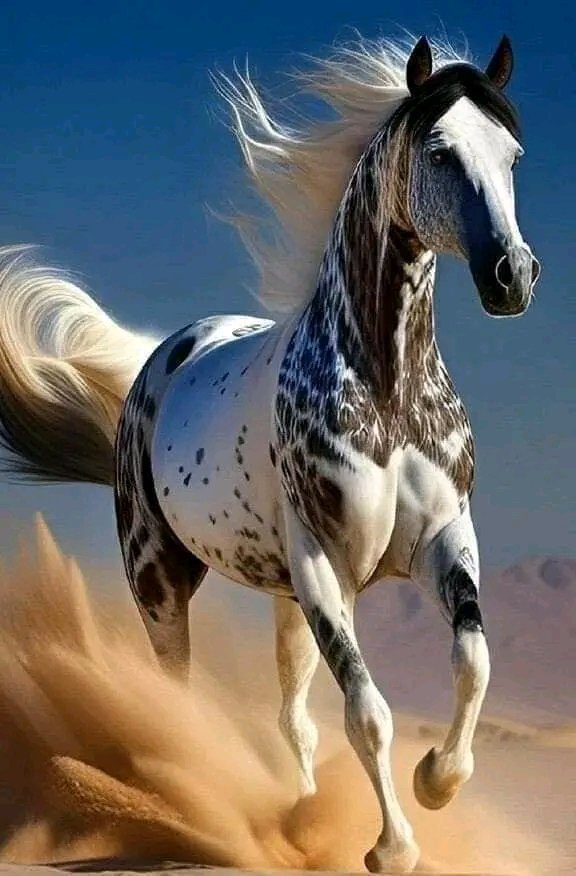 💫🕊🪻⑅⃝♡ 🆂🅰🅰🆀🅸 ♡⑅⃝🪻🕊💫 tweet media
