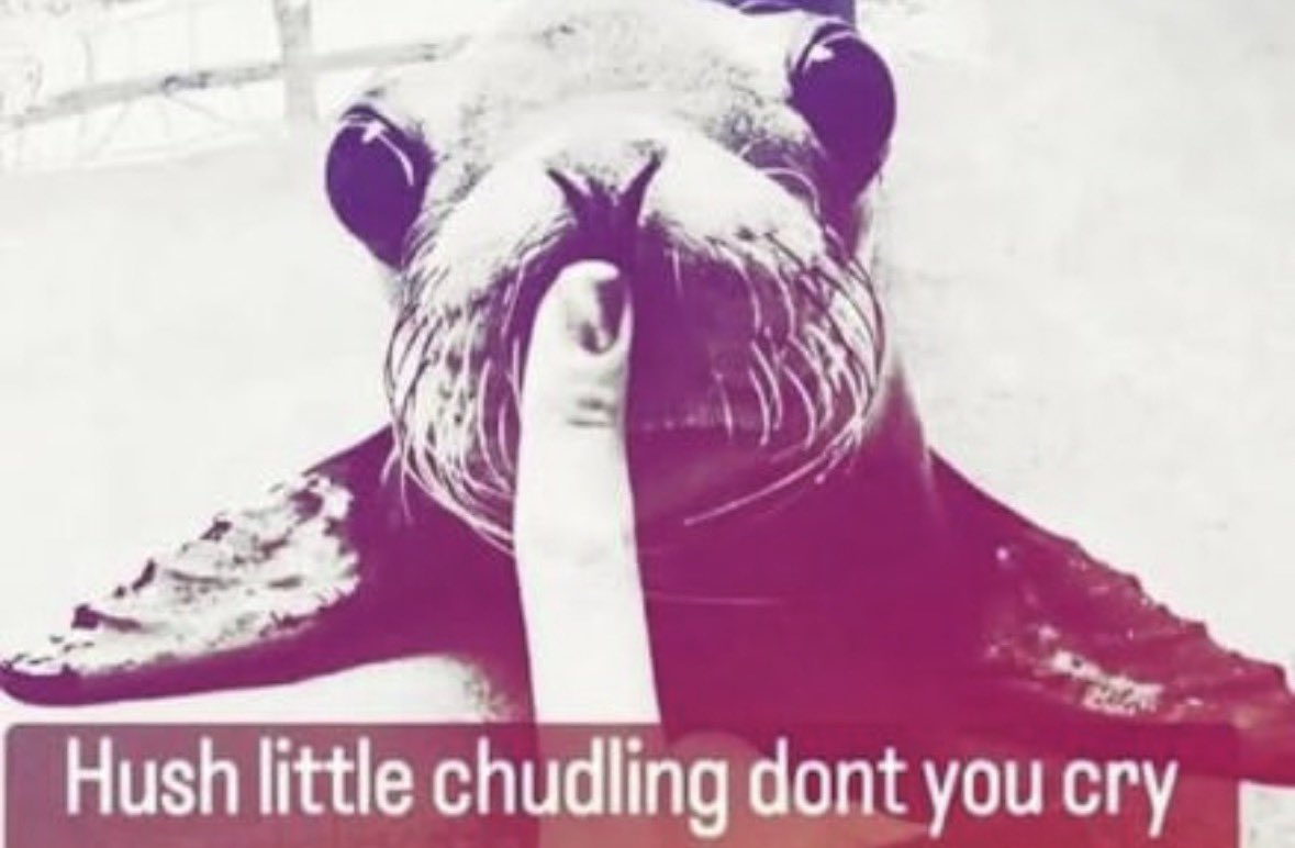 ѕєиɪ tweet media