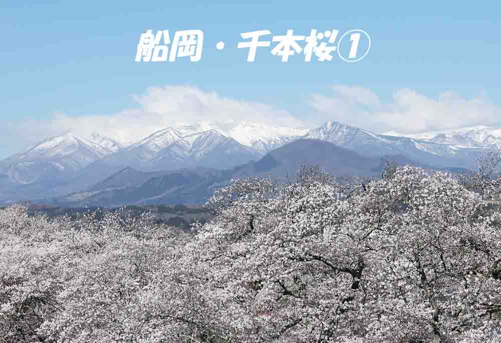 ジョエ tweet media