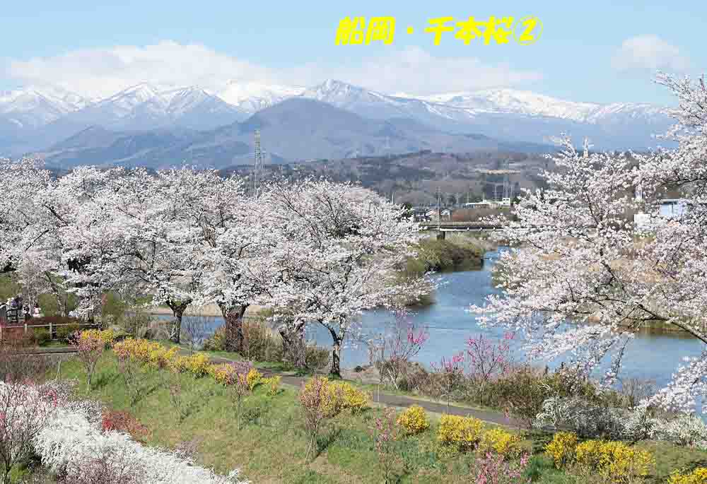 ジョエ tweet media