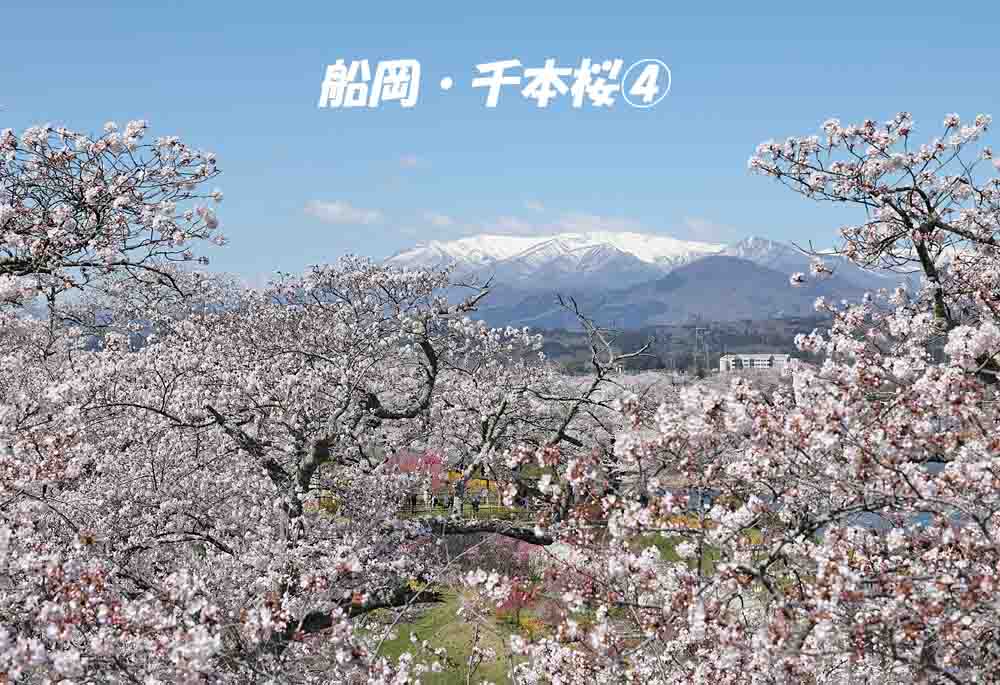 ジョエ tweet media