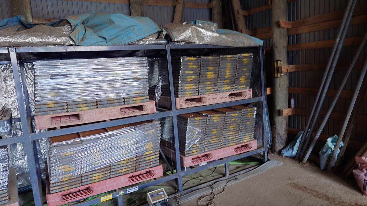 まっきん@田舎暮らしの妄想紳士 tweet media