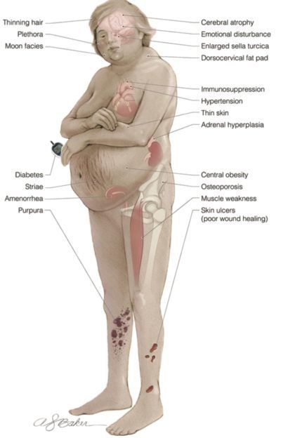 Alyaa Gad علياء جاد 𓋹 🜓 🜖 tweet media