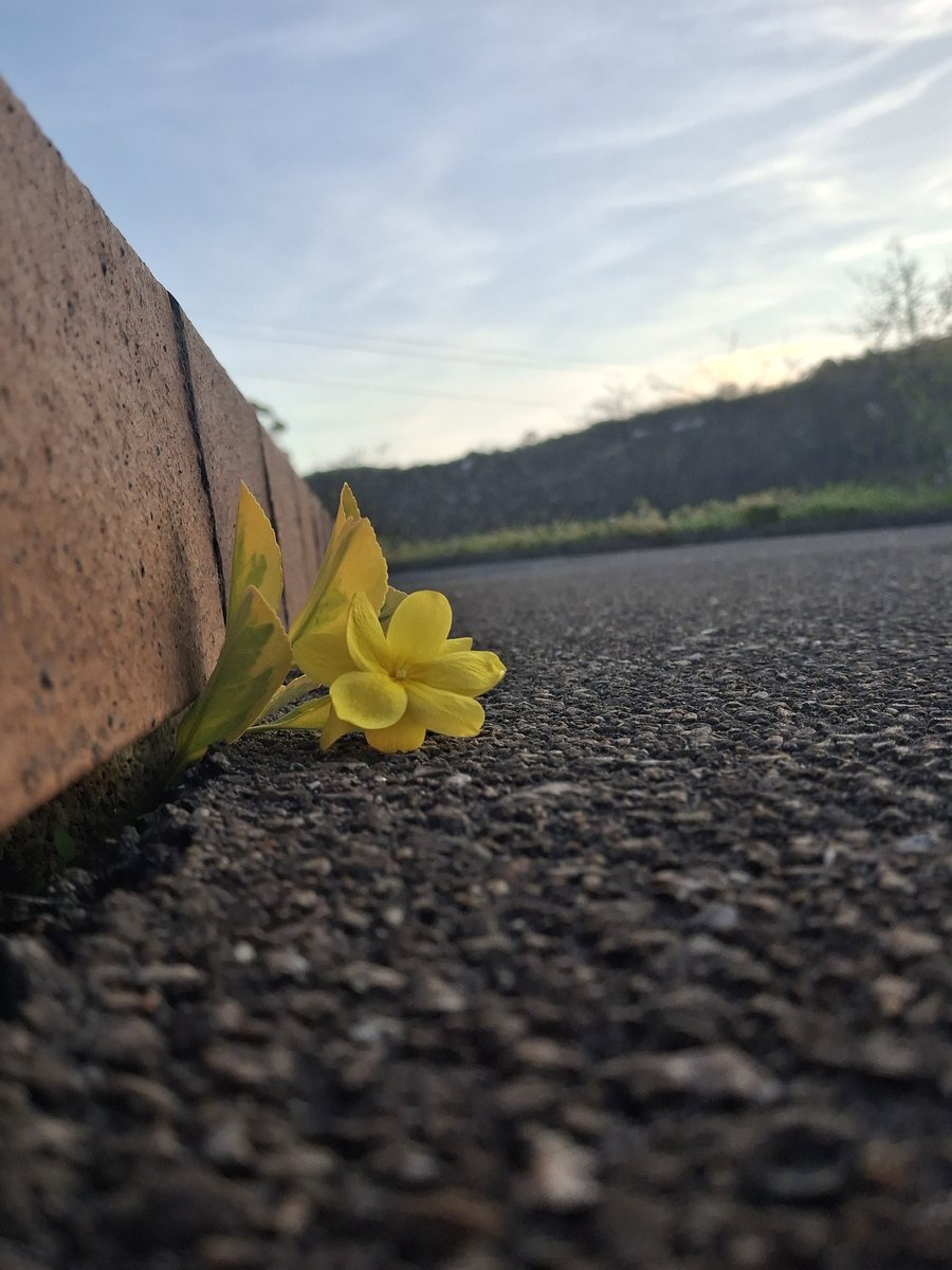 HeviaViejo's tweet image. #Reto9Palabras 
#Microrrelato

Una imagen y nueve palabras...
😉
¿Jugamos?
👇