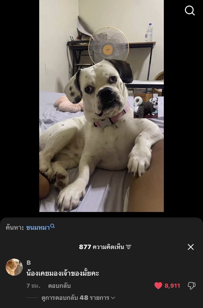 แกน่ะเก่ง tweet media