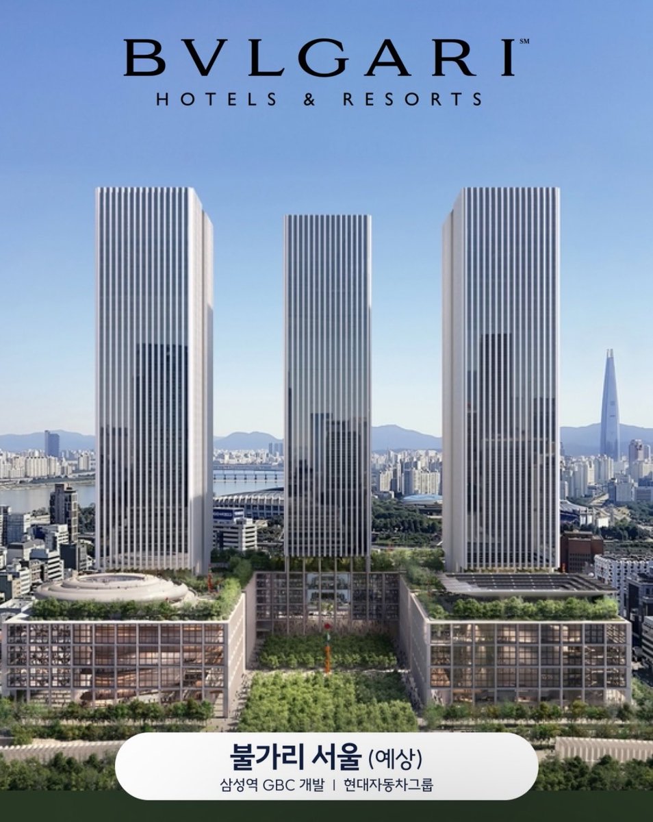 캣츠파파 tweet media