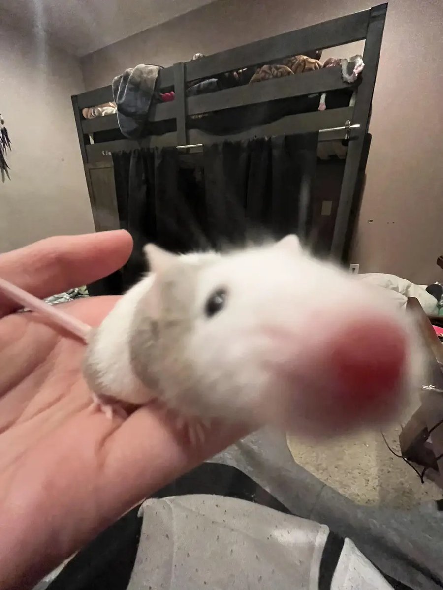 lucifer. tweet media